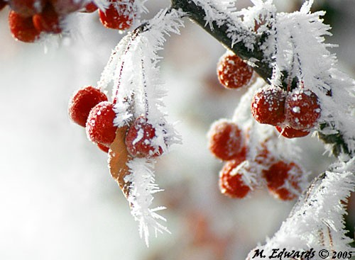 Зимски фотографии 03