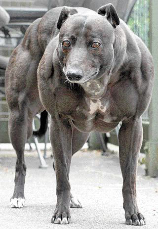 Вистина или Photoshop 04