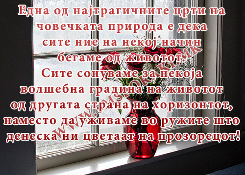 СИте сонувам за некоја...