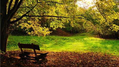 Есенски позадини - клупа во парк